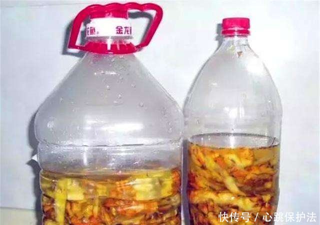 【做肥料】吃剩的菠萝和菠萝皮千万不要扔!简单两步教你做月季花肥!