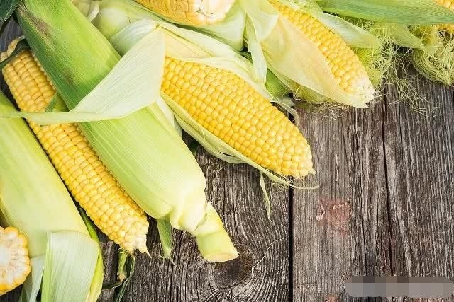  「2020年」2020年农民种啥、养啥能赚钱，专家指出2大赚钱机会，