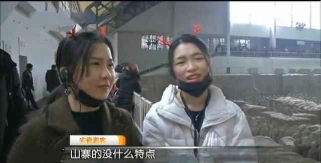 陕西兵马俑被安徽一景区仿制近千，安徽游客：山寨没意义，没价值