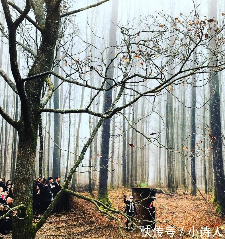 『秀场』香奈儿“迷雾森林”秀场,搞了半天原来只是个背景墙?论创意就服老佛爷!