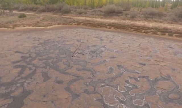  中卫：宁夏中卫回应林区污染：4.2万吨黑液已封存，对涉事公司立