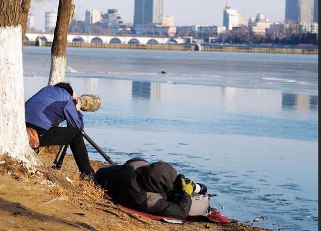数九寒天，在东北能拍此水鸟，实在是幸事一件……