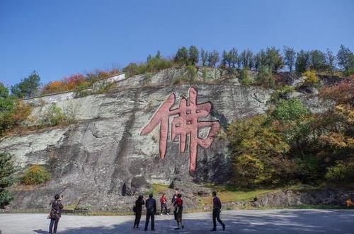 这里遍地都是硅化木化石，还有满坡的恐龙蛋却没有人去挖