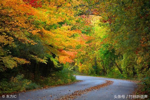 遇见秋，犹如故人归，愿时光多一些明媚，岁月静好，你亦无恙！