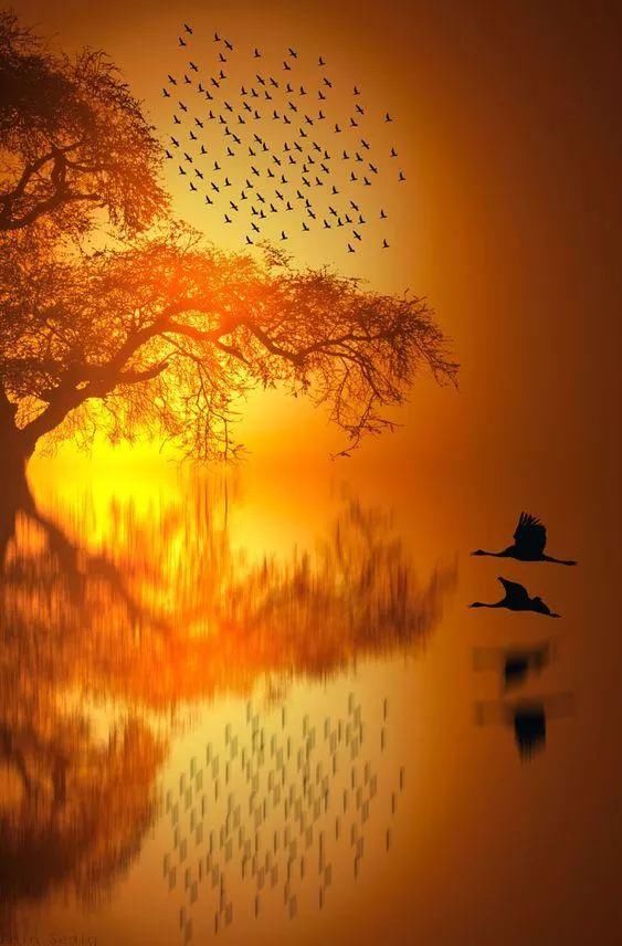 奇妙风光，难得一见