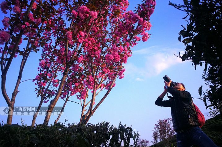 【2018年终盘点】小美景大广西，领略2018年广西醉美瞬间