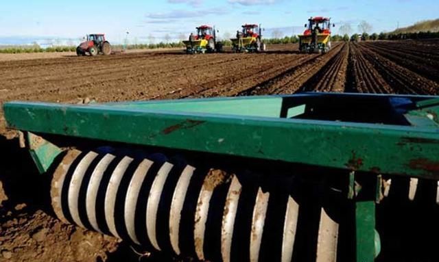 与其在异乡“孤独”打工者，不如回乡创业!在农村干什么能赚钱?