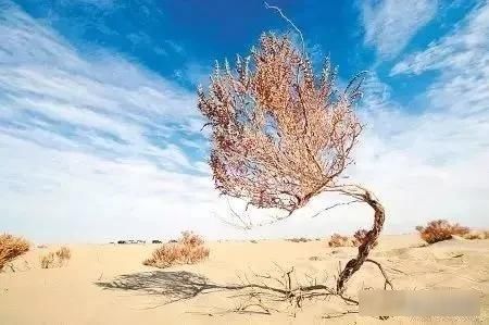  『绝美』中国神秘壮阔最美四大无人区，人迹罕至却景色绝美，你敢去吗？