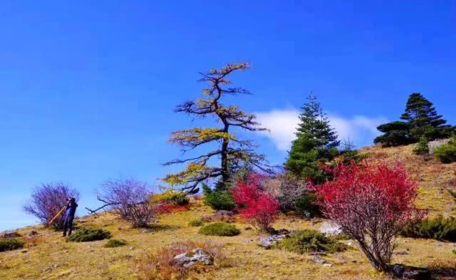 去过的都说美炸了！玉龙雪山下美丽神秘的天堂——“般弄国”