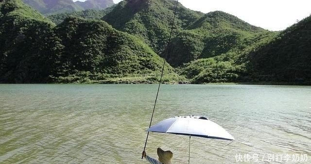 『违法』钓鱼遇到这种事,是谁也会盘他俩!不只丢钓鱼人的脸,他还违法