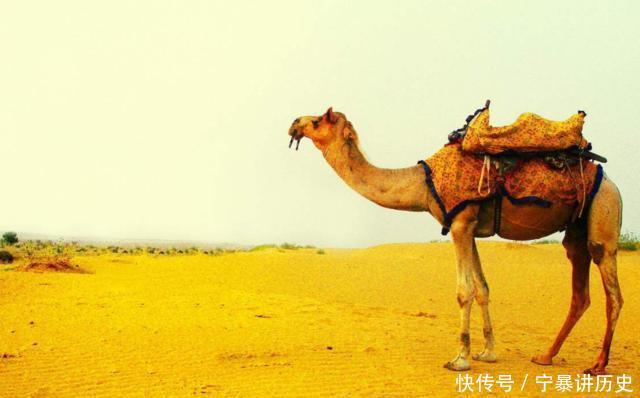 如果人类找到把沙漠挖空的办法,那沙漠最底下会是什么?涨知识了