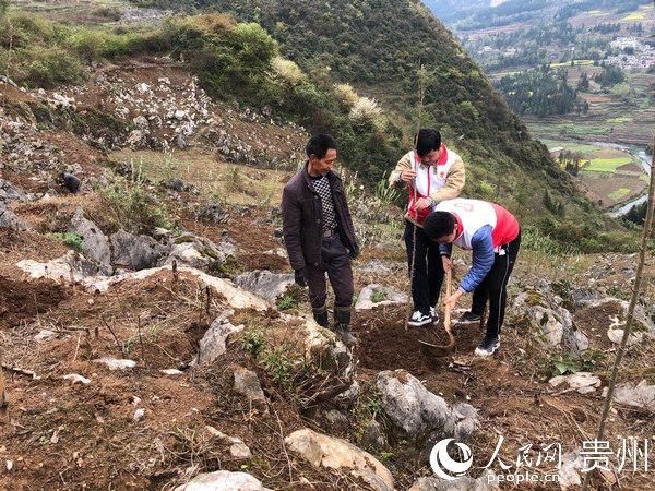  『西部计划志愿者』织金县：千名志愿者奏响扶贫“最美和弦音”