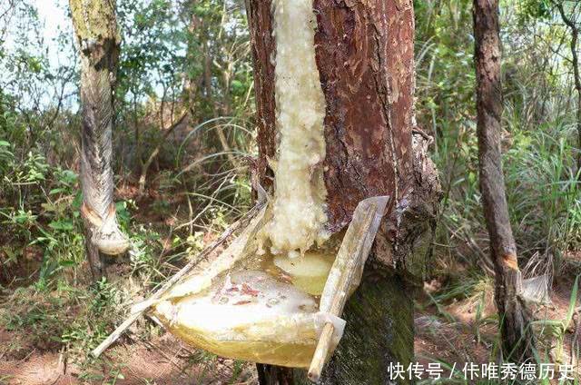 以前夏天，农民都会去赚这个钱，不偷不抢，干活有劲，数钱更乐