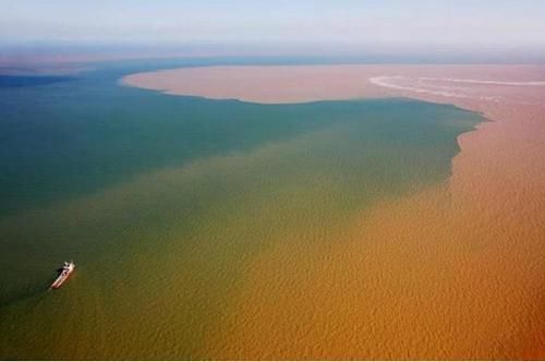 淡水鱼在海水中不能存活，那黄河流入大海后，这些鱼该怎么办呢？