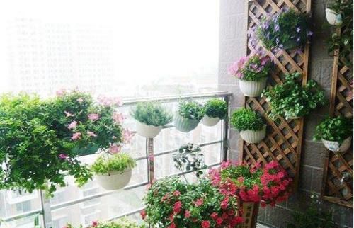 『花架』阳台太小又想养花怎么办？老花农教你几招，阳台立马变花园