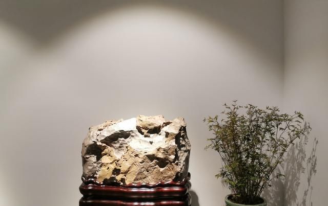 苏州太湖水石艺术馆开馆，最美太湖水石在这里