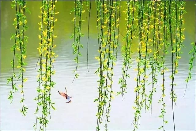 原创诗词:想一场雨,念一生情