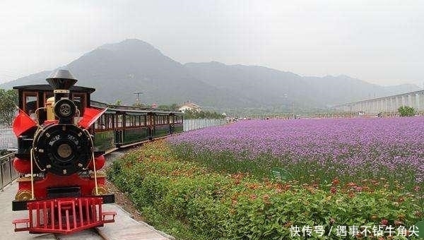  「日本人」浙江省最干净的城市，日本人也得心服口服