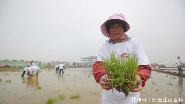  董事长|出任董事长、还有两个目标！袁隆平：我没有想过退休！