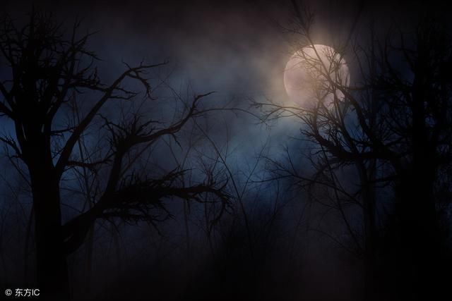 娱乐圈宋祖德转战4方升级，称或将地震，一切才刚开始