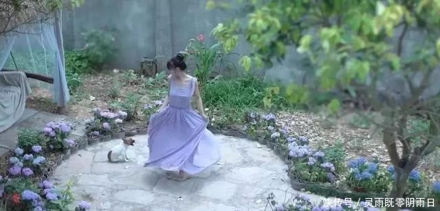 李子柒视频爆火背后的乡村振兴秘籍,你悟到了吗?