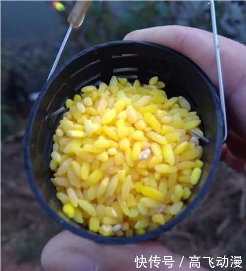 初春■相信我!初春野钓用这5招打窝,比别人提前半小时上鱼