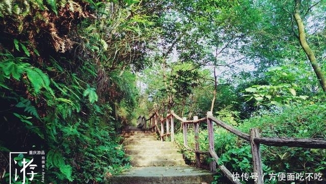 只知道重庆南山“一棵树”？其实，这里还有“壹碗水”