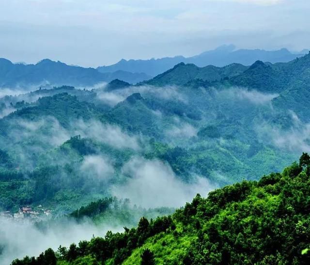 广西十多个县获“自治区级生态县”称号，点进来看有没有你家乡!