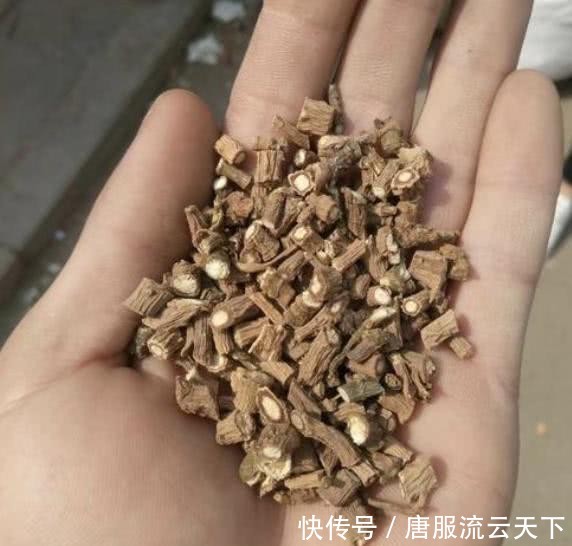  『值钱』1种植物在农地里，枝叶看着像“野草”，根茎却值钱，请珍惜它！