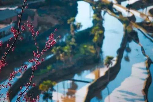 一旦去了这些地方，其他就都成了将就！