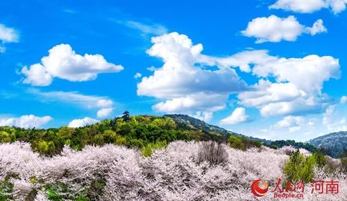  「旅游」商城：遍地花开待客来