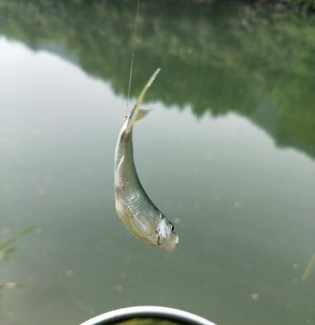  [告别]告别清明连绵雨，迎来初春艳阳天 不去岂冤？