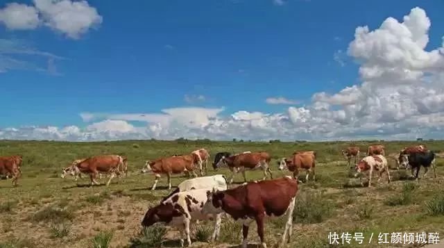 日本人在中国租了1500亩地，闲置5年任荒草疯长，但结果让所有人