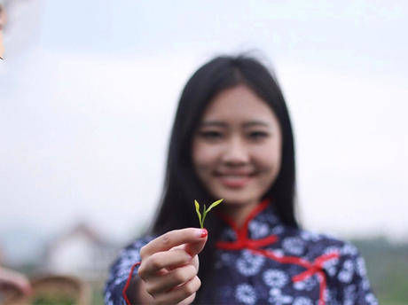 湖南首家茶汤温泉上线！长沙冬季自驾游推荐，你想去吗？