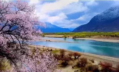 三月，去看中国最美春光