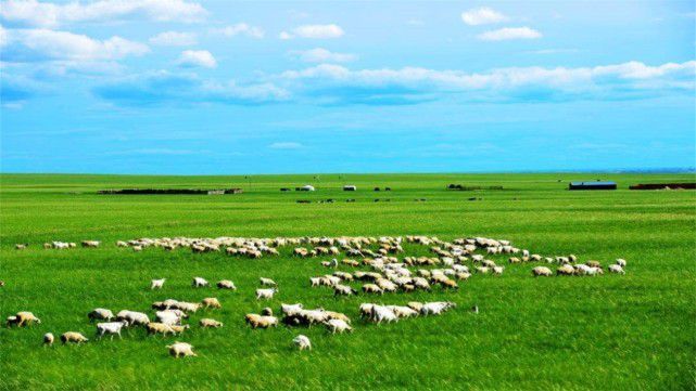 世界最大城市：土地面积相当于16个北京2.5个韩国，就在我国