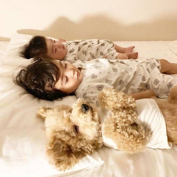  [睡觉]日本小女孩每天和狗狗一起睡觉引千万网友围观这才是晒娃晒宠物的最高境界