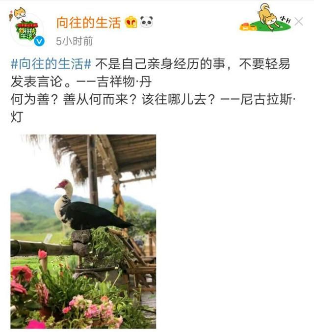 热搜杨颖假吃爆米花被骂惨，官博澄清言词激怒8万网友评论怼骂