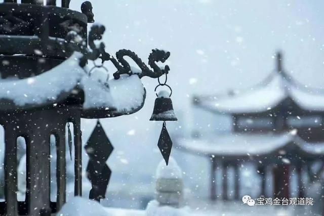 初冬已至，降温来袭 | 陕西这些地方已经下雪啦！想看雪景的走起