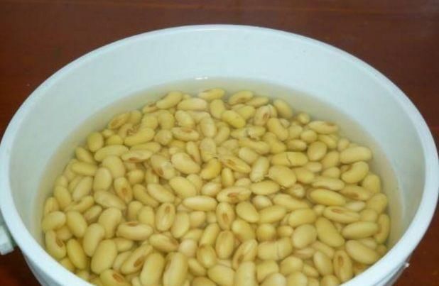 『植物』黄豆水适合浇什么花?