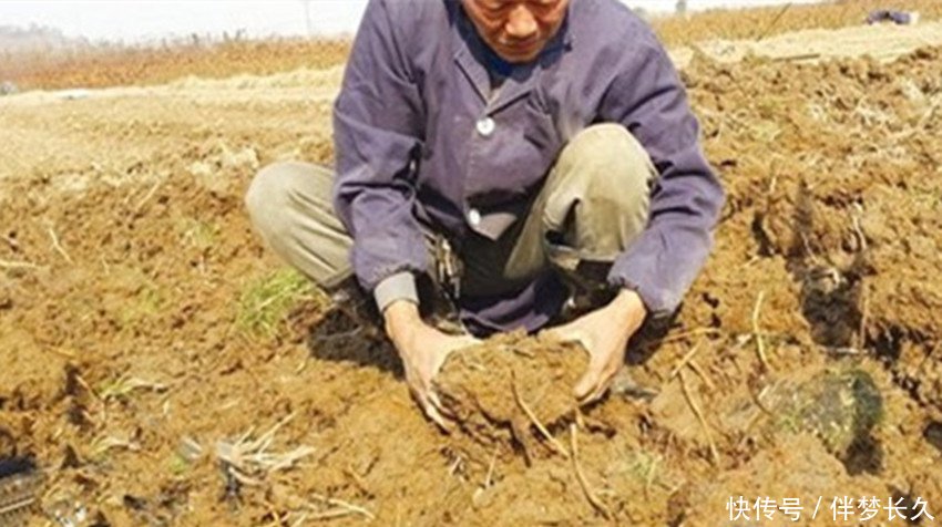 农民在田里挖到“土疙瘩”，专家鉴定后令他兴奋不已，捡到宝了