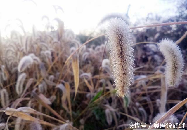  道理■霜降到，俗语“霜降无雨，暖到立冬”有道理吗？今年是“