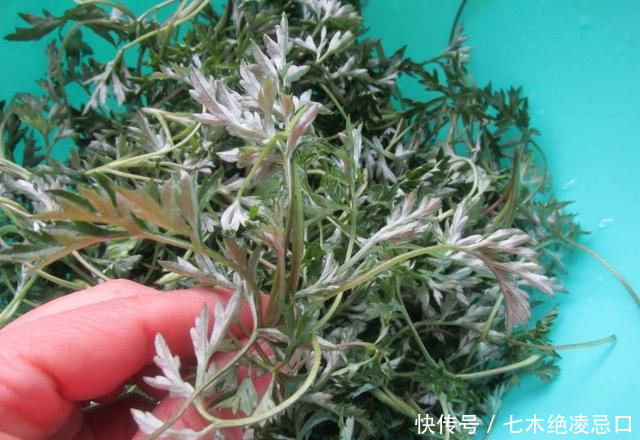 「糯弹」清明马上就要到了,手把手教会您青团做法,软糯弹牙超好吃,清香