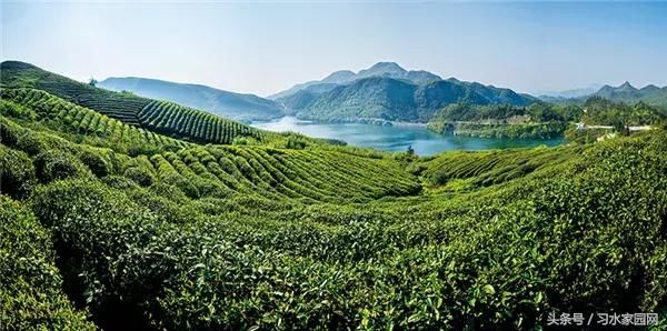 贵州居然要改名了！据说新名字是……