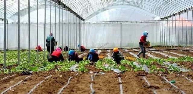  [吃香]喜从天降农村有四个新职业，3年后将会吃香，农民不必外出