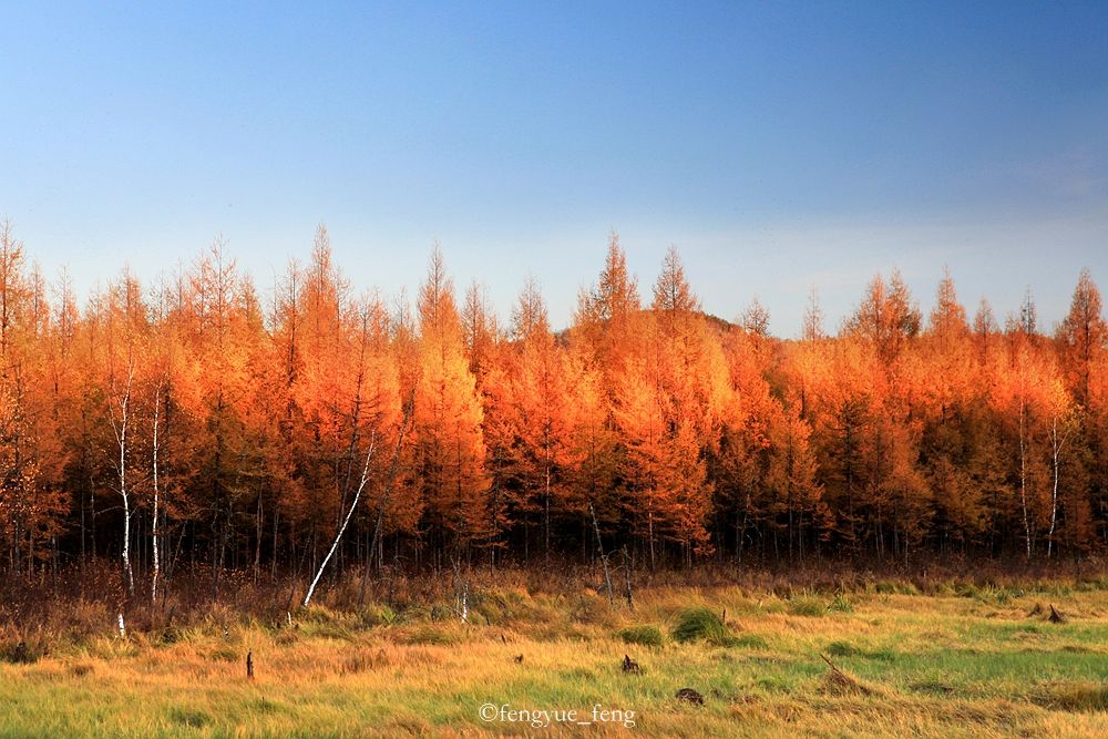 大兴安岭特大火灾澳洲火灾