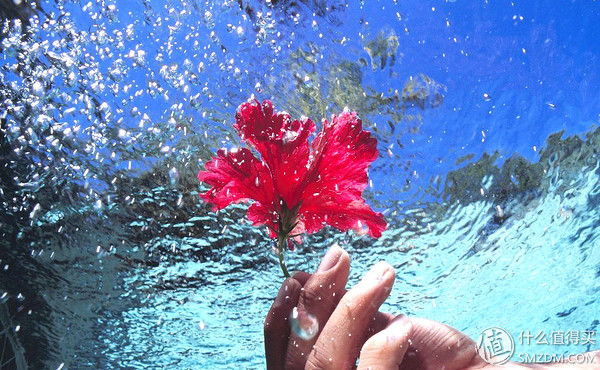 不止是冷泡茶和调酒!好水如何物尽其用?和撕葱一样精致生活，从一瓶斐济水开始