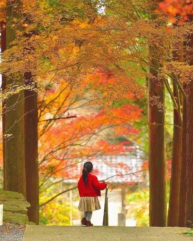 跟拍儿女3年，这位爸爸把孩子拍成了童话……