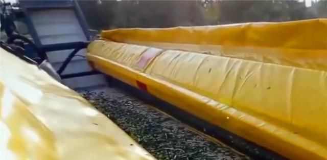 德国机械有多牛？采摘水果全用机器，一天可抵50个果农！