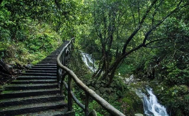 好消息！军运会期间神农架、九宫山等景区对武汉市民免门票